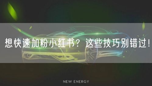 想快速加粉小红书？这些技巧别错过！