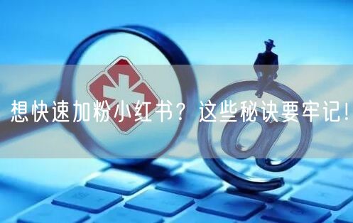 想快速加粉小红书？这些秘诀要牢记！