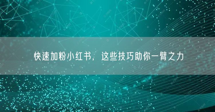 快速加粉小红书，这些技巧助你一臂之力