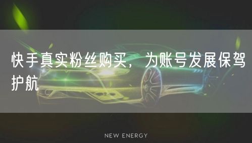 快手真实粉丝购买，为账号发展保驾护航