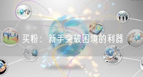 买粉：新手突破困境的利器