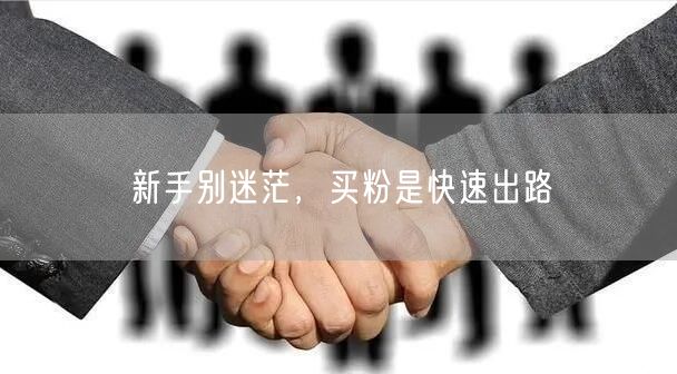 新手别迷茫，买粉是快速出路