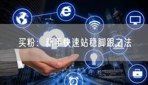 买粉：新手快速站稳脚跟之法