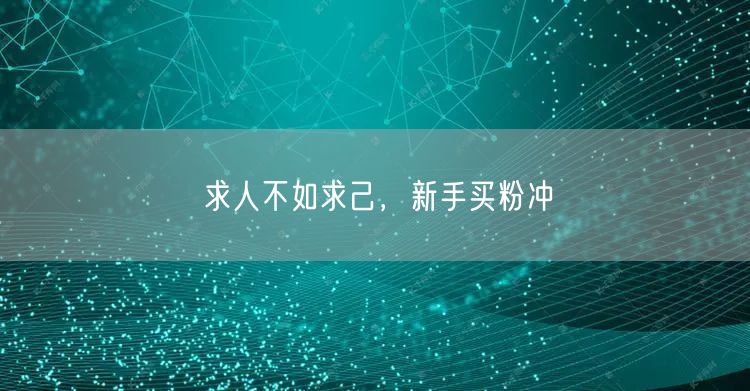 求人不如求己，新手买粉冲