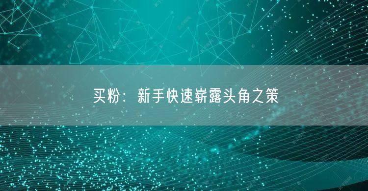 买粉：新手快速崭露头角之策
