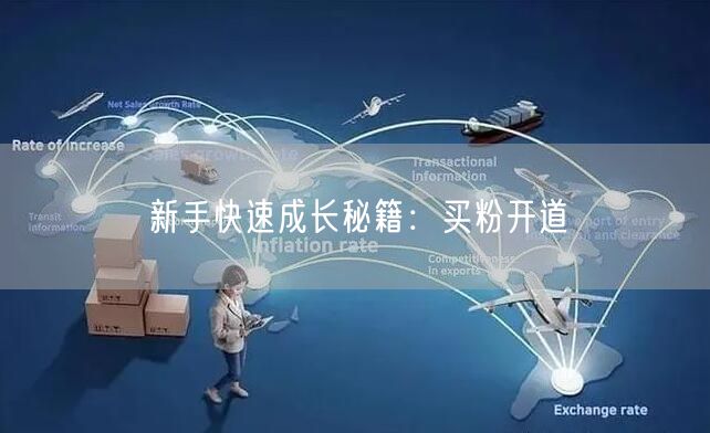新手快速成长秘籍：买粉开道