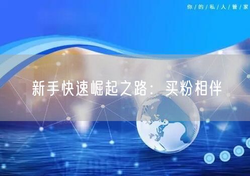 新手快速崛起之路：买粉相伴