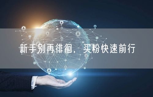 新手别再徘徊，买粉快速前行