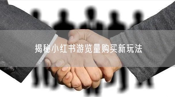 揭秘小红书游览量购买新玩法
