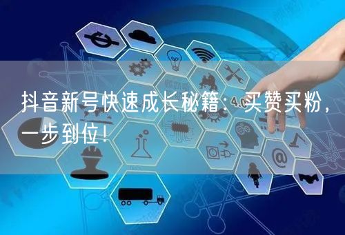 抖音新号快速成长秘籍：买赞买粉，一步到位！