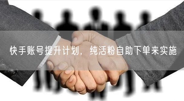 快手账号提升计划，纯活粉自助下单来实施