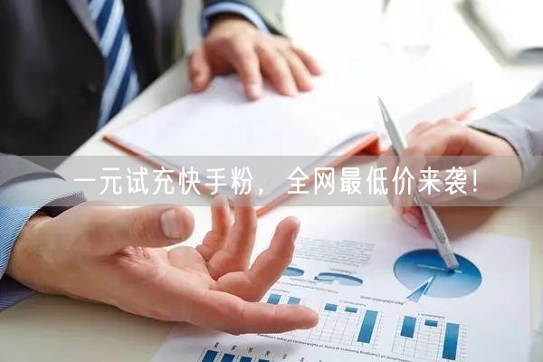 一元试充快手粉，全网最低价来袭！