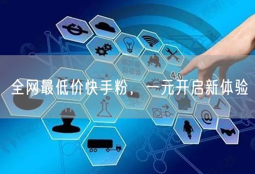 全网最低价快手粉，一元开启新体验