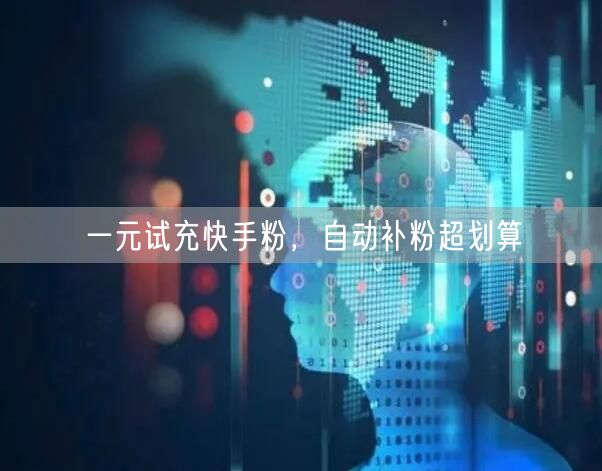 一元试充快手粉，自动补粉超划算