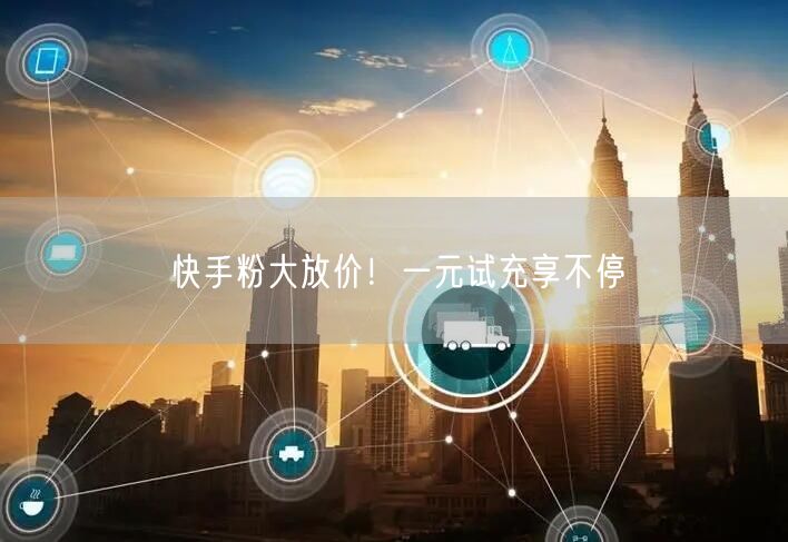 快手粉大放价！一元试充享不停