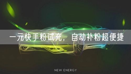 一元快手粉试充，自动补粉超便捷