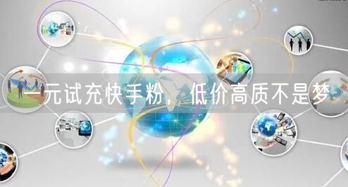 一元试充快手粉，低价高质不是梦