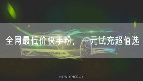 全网最低价快手粉，一元试充超值选