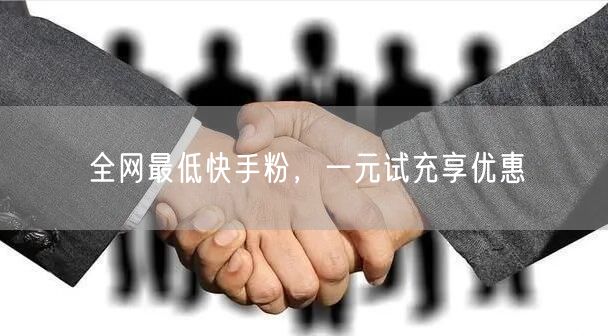 全网最低快手粉，一元试充享优惠