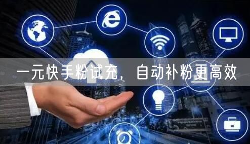 一元快手粉试充，自动补粉更高效
