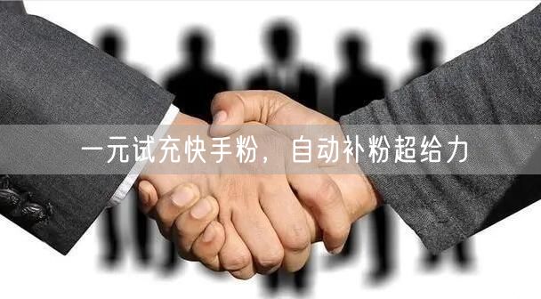 一元试充快手粉，自动补粉超给力