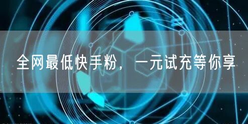 全网最低快手粉，一元试充等你享