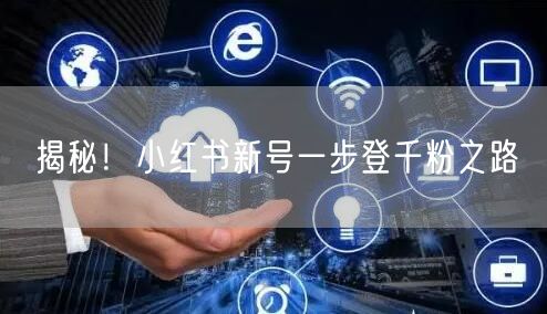 揭秘！小红书新号一步登千粉之路