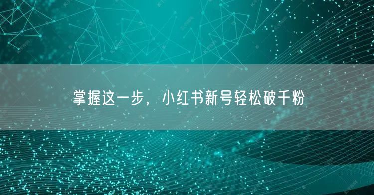 掌握这一步，小红书新号轻松破千粉