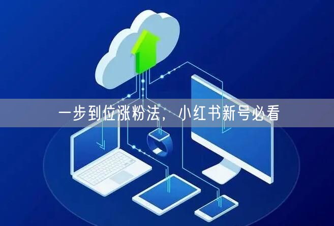 一步到位涨粉法，小红书新号必看