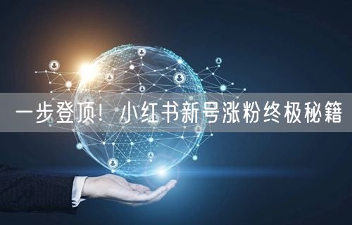一步登顶！小红书新号涨粉终极秘籍