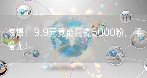 惊爆！9.9元竟能狂揽5000粉，手慢无！