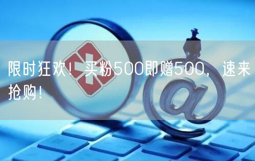 限时狂欢！买粉500即赠500，速来抢购！