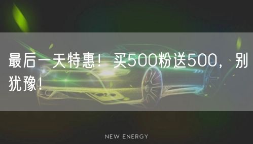最后一天特惠！买500粉送500，别犹豫！