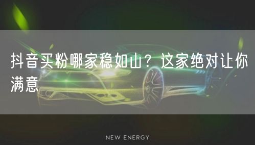 抖音买粉哪家稳如山？这家绝对让你满意