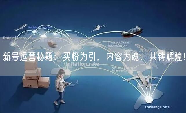 新号运营秘籍：买粉为引，内容为魂，共铸辉煌！