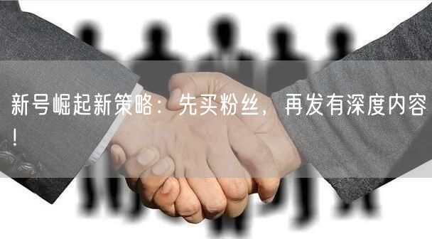 新号崛起新策略：先买粉丝，再发有深度内容！