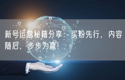 新号运营秘籍分享：买粉先行，内容随后，步步为赢！