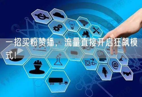 一招买粉赞播，流量直接开启狂飙模式！