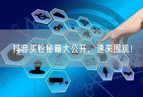 抖音买粉秘籍大公开，速来围观！