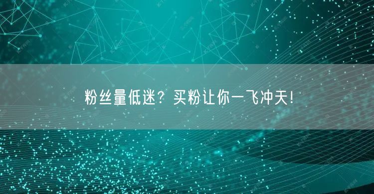 粉丝量低迷？买粉让你一飞冲天！