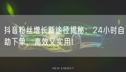 抖音粉丝增长新途径揭秘：24小时自助下单，高效又实用！