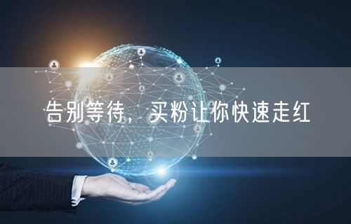 告别等待，买粉让你快速走红
