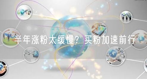 半年涨粉太缓慢？买粉加速前行