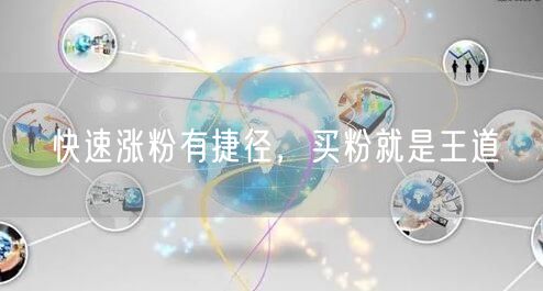 快速涨粉有捷径，买粉就是王道