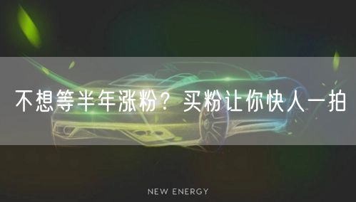 不想等半年涨粉？买粉让你快人一拍