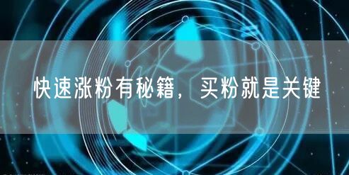 快速涨粉有秘籍，买粉就是关键