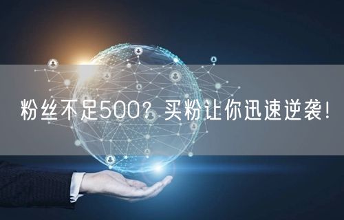粉丝不足500？买粉让你迅速逆袭！