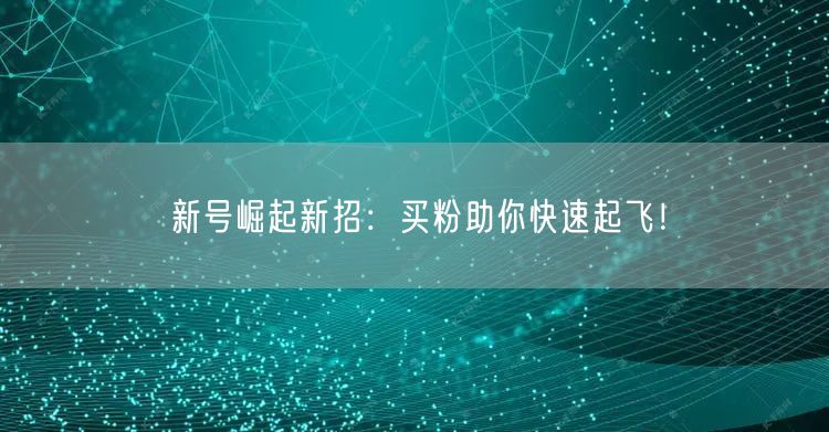 新号崛起新招：买粉助你快速起飞！