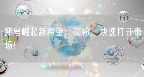 新号崛起新希望：买粉，快速打开市场！