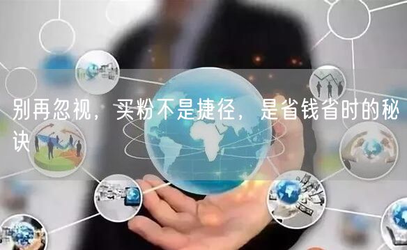 别再忽视，买粉不是捷径，是省钱省时的秘诀